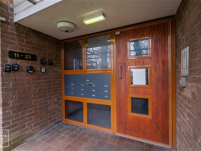 Picture 19